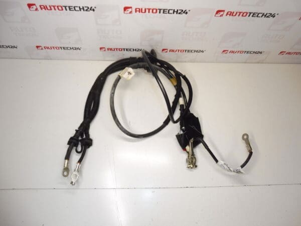 Priključni kabel + pol u motoru Citroën Peugeot 1401159880 1400812780