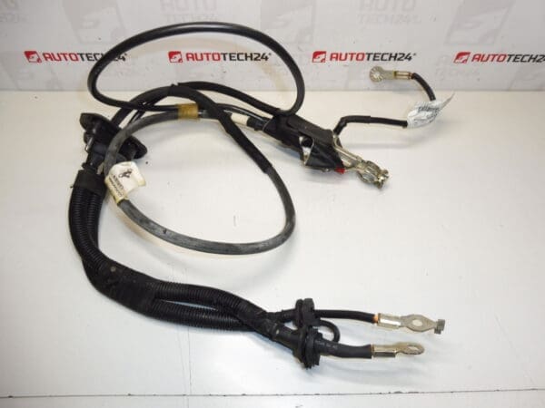 Priključni kabel + pol u motoru Citroën Peugeot 1401159880 1400812780