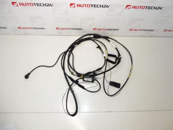 Antena kabel Citroën C8 Peugeot 807 1489134080 1494844080