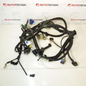 Kabelski svežanj motora Citroën C3 II 1.4i KFT 9674808180 9675247080