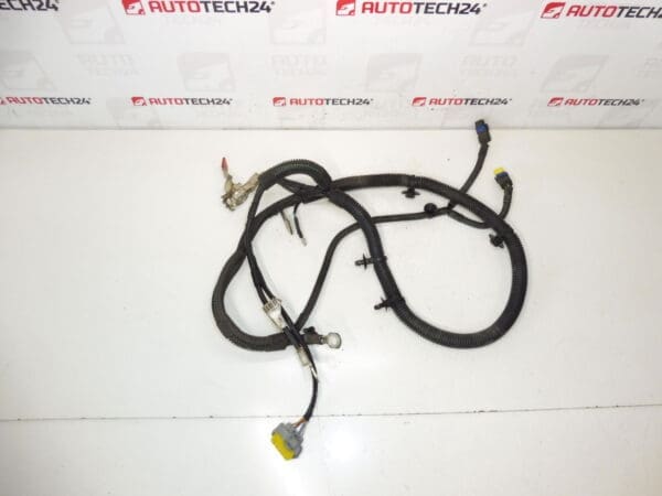 Pozitivni kabel Aku Citroën Peugeot 1.8 16V 9662165780 5642FY