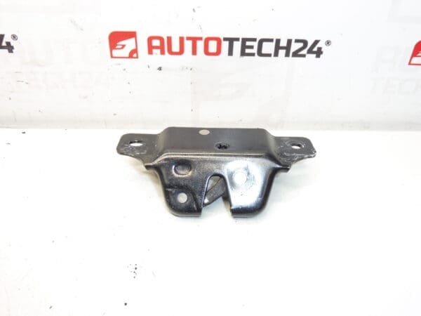 Brava prtljažnika Peugeot 206 206+ 871951