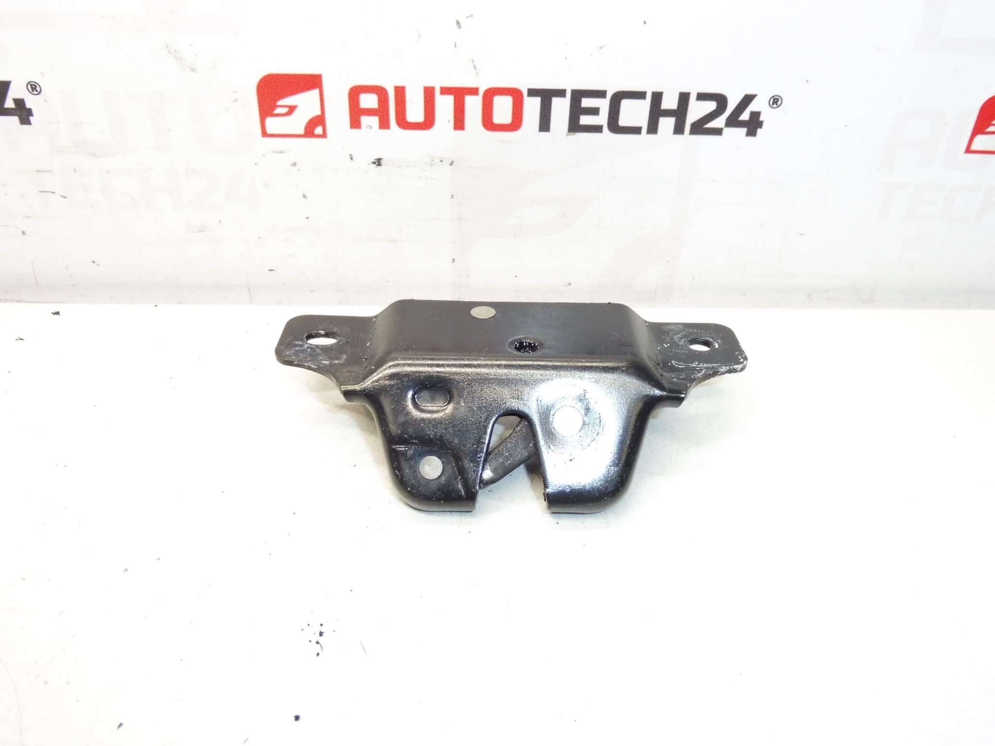 Brava prtljažnika Peugeot 206 206+ 871951